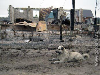 В поселке Дальний всю ночь боролись с огнем В поселке Дальний всю ночь боролись с огнем