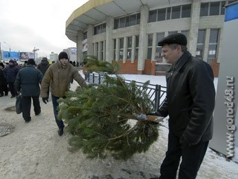 Завтра в Липецке откроются ёлочные базары Завтра в Липецке откроются ёлочные базары