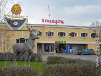 Липецкий зоопарк - самая благоустроенная территория города Липецкий зоопарк - самая благоустроенная территория города