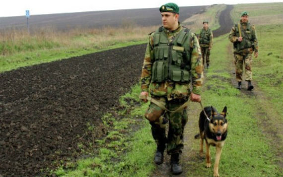Украинские пограничники возводят «стену» на границе с Россией Украинские пограничники возводят «стену» на границе с Россией