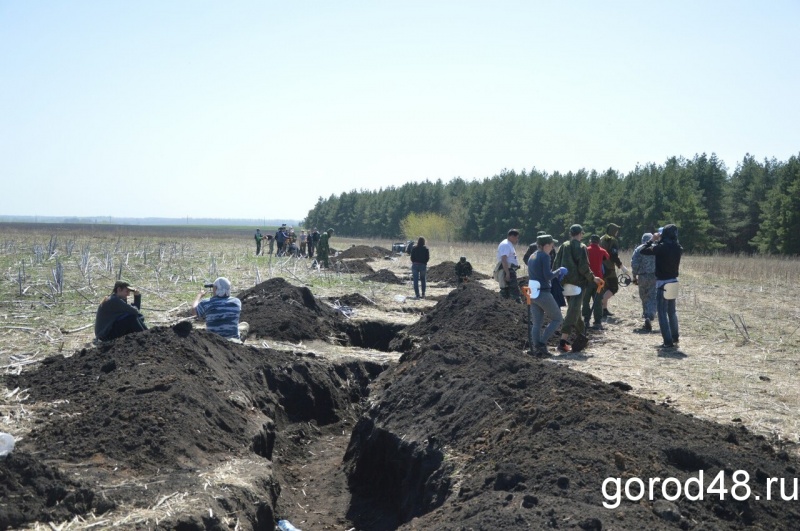 Высота огурец воловский район фото