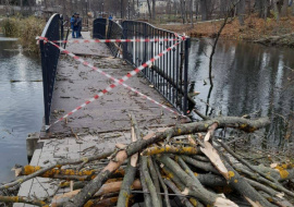 Шквалистый ветер в Ельце наломал дров на 400 000 рублей