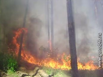 В поселке Дальний сгорели 50 домов В поселке Дальний сгорели 50 домов