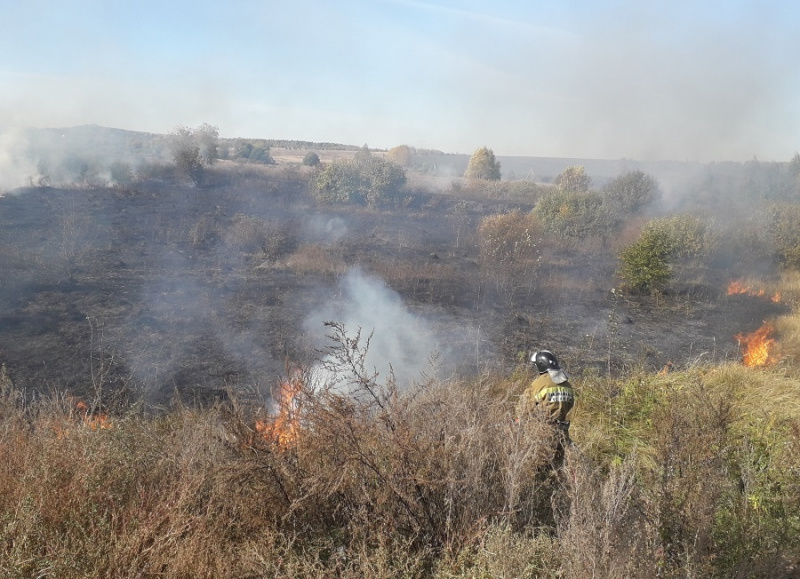 В Липецком районе горели 700 квадратных метров травы