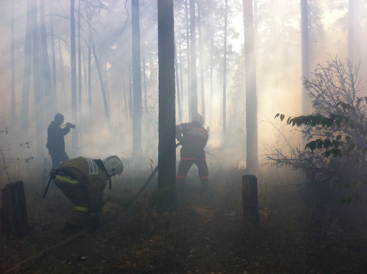 Лес пожар Липецк