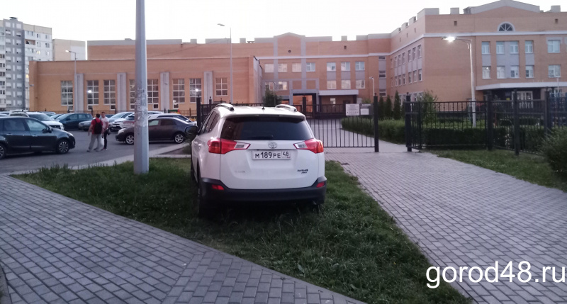 Автохам — встретила на газоне Автохам — встретила на газоне