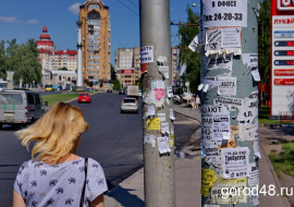 Росстат: четверть липчан работает в тени 