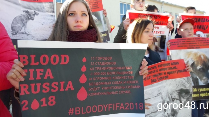 В Липецке митингуют зоозащитники В Липецке митингуют зоозащитники