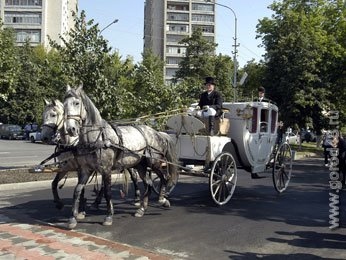 В Липецке в 2008 году было заключено меньше браков, чем в предыдущем В Липецке в 2008 году было заключено меньше браков, чем в предыдущем