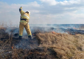 За сутки пожарные 29 раз тушили горящую траву
