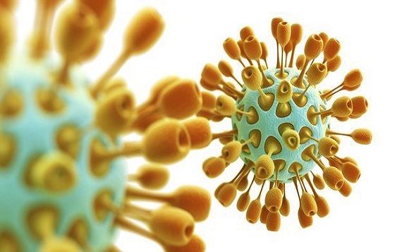 В Южной Корее от вируса MERS скончалась 20-я жертва В Южной Корее от вируса MERS скончалась 20-я жертва