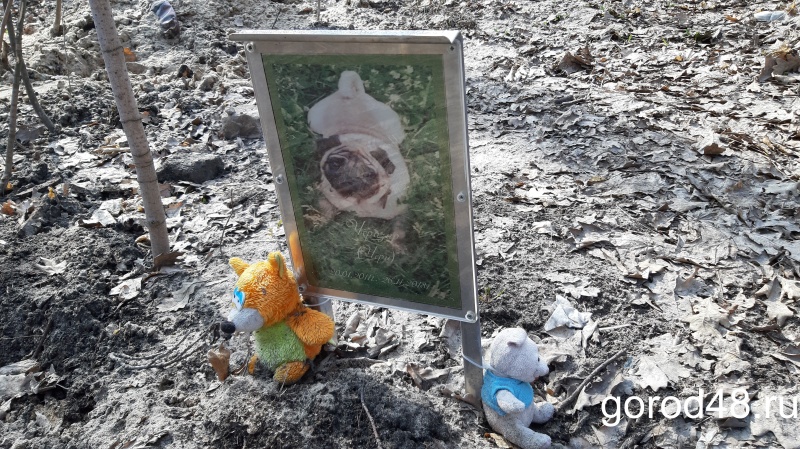 Похоронившая ребенка на собачьем кладбище многодетная семья стояла на учете Похоронившая ребенка на собачьем кладбище многодетная семья стояла на учете