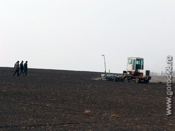 На данковских полях работали молдавские гастарбайтеры На данковских полях работали молдавские гастарбайтеры