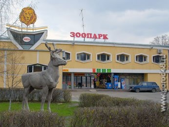 Липецких котят обменяли на фламинго Липецких котят обменяли на фламинго