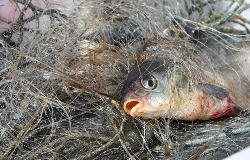 В Добринке оштрафовали рыбака-браконьера 