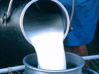 Разработана областная целевая программа развития молочного скотоводства Разработана областная целевая программа развития молочного скотоводства