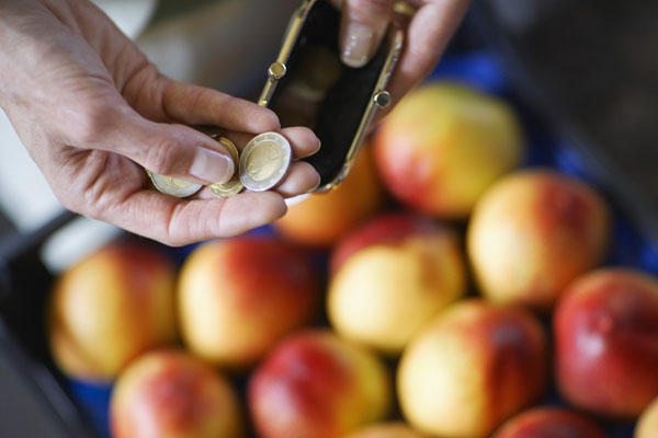 Каждому десятому россиянину не хватает денег даже на продукты Каждому десятому россиянину не хватает денег даже на продукты