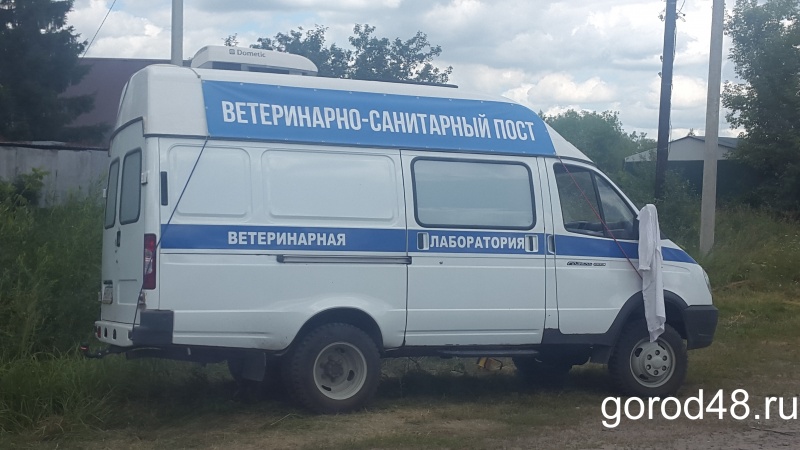 Липецк, Елец и Чаплыгин — зона угрозы распространения бешенства Липецк, Елец и Чаплыгин — зона угрозы распространения бешенства