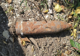 Взрывотехники уничтожили найденный у лесополосы артиллерийский снаряд
