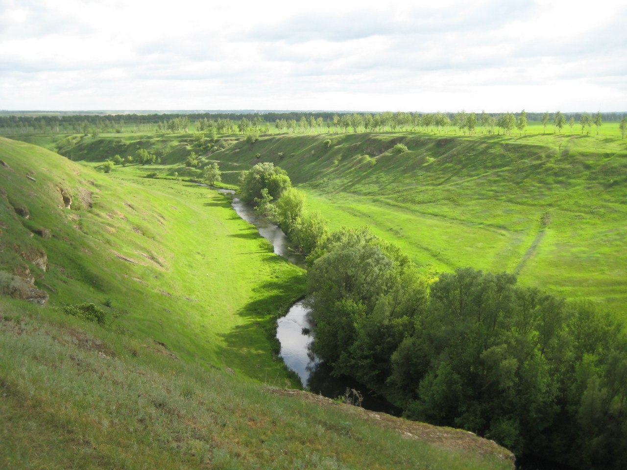 Аргамач пальна