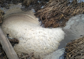 В селе Замартынье ручей из родника превратился в канализационный сток 