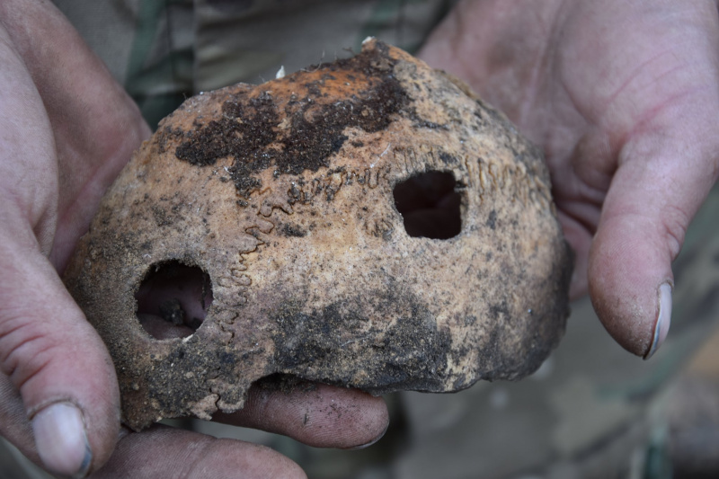 Липецкие археологи нашли останки людей бронзового века со следами трепанации черепов