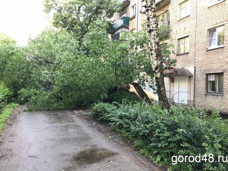 Во время грозы в Липецке упали 10 деревьев, повреждены два автомобиля, разбит балкон Во время грозы в Липецке упали 10 деревьев, повреждены два автомобиля, разбит балкон
