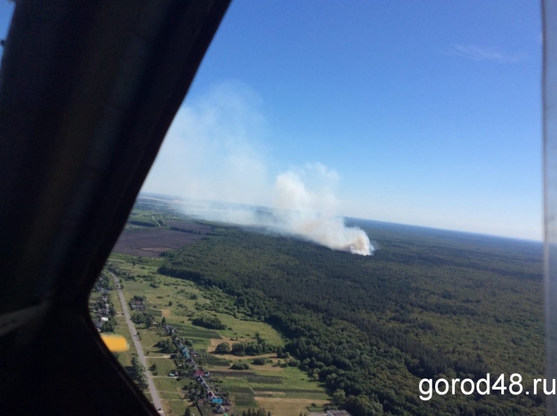 Пожар в Воронежском заповеднике потушен Пожар в Воронежском заповеднике потушен