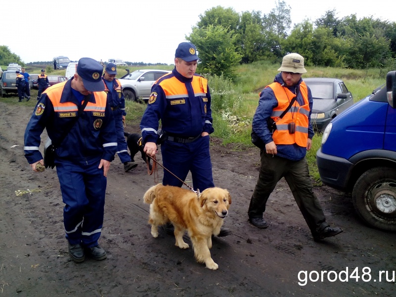 Опубликовано видео с места обнаружения пропавшего ребенка Опубликовано видео с места обнаружения пропавшего ребенка