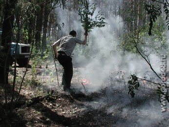 Против поджигателей стерни возбуждены три дела Против поджигателей стерни возбуждены три дела