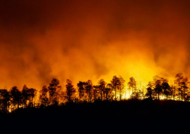 Лесные пожары в Турции добрались до курортных районов
