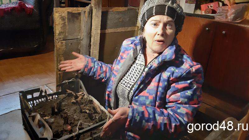 Липецкие женщины 8 марта могут остаться без дешевых тюльпанов Липецкие женщины 8 марта могут остаться без дешевых тюльпанов