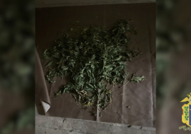 В доме усманца нашли больше двух килограммов марихуаны