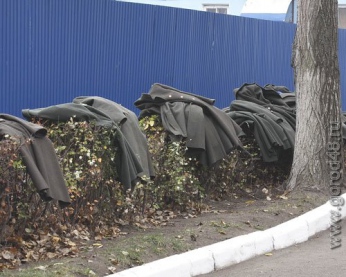В Липецкой области пять человек осуждены за уклонение от военной службы В Липецкой области пять человек осуждены за уклонение от военной службы