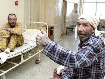 Первые жертвы мороза Первые жертвы мороза