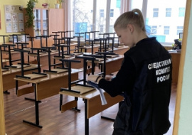В Подмосковье 11-летняя школьница нанесла 26 ударов ножом по лицу сверстницы
