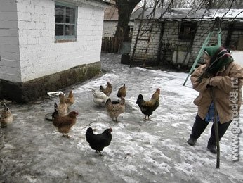 В Липецкой области привито от птичьего гриппа около 600 тыс. голов домашней птицы В Липецкой области привито от птичьего гриппа около 600 тыс. голов домашней птицы