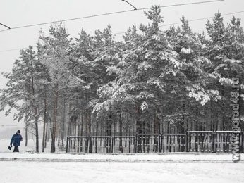 Завтра днём будет чуть ниже 0 Завтра днём будет чуть ниже 0