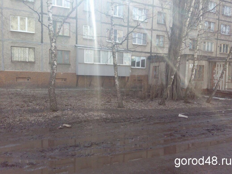 Из липецкого двора вывезли порядка трех кубометров мусора Из липецкого двора вывезли порядка трех кубометров мусора