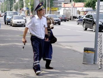 В Липецке появился косолапый гаишник В Липецке появился косолапый гаишник
