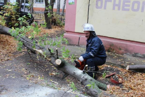Спасатели устранили опасность для детсадовцев Спасатели устранили опасность для детсадовцев