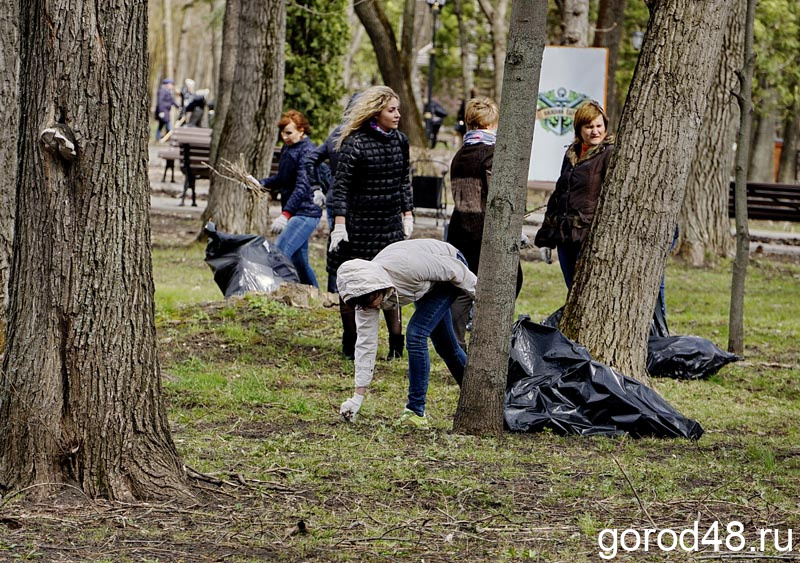 Липчане собрали в парках, на улицах и во дворах 230 тонн мусора