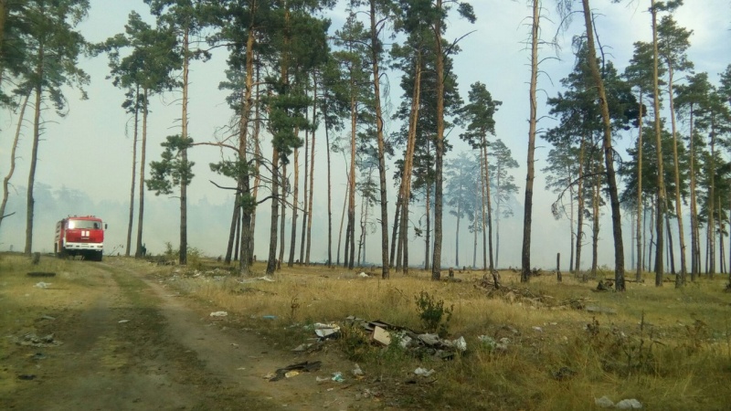 Пожар в районе Силикатных озер потушен Пожар в районе Силикатных озер потушен