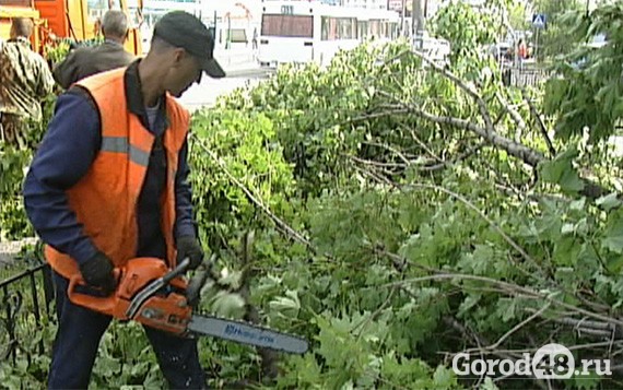 Как в Липецке устраняли последствия урагана Как в Липецке устраняли последствия урагана