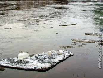 Дон стал грязнее в 19 раз Дон стал грязнее в 19 раз