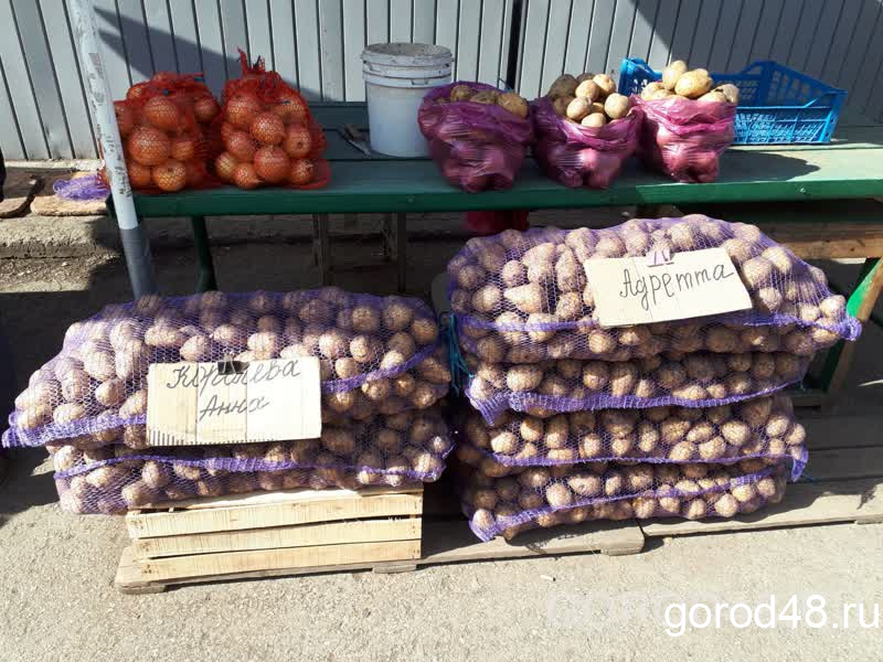 Липецкстат: в сентябре овощи и картофель подорожали на 15%