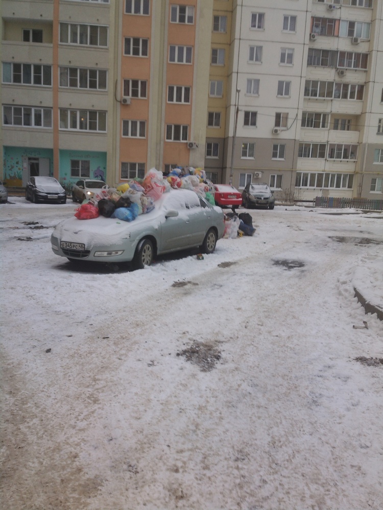Липчане завалили легковушку мусором Липчане завалили легковушку мусором