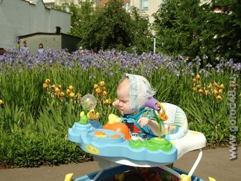 В Липецке родились Милан и Елизавета-Диана В Липецке родились Милан и Елизавета-Диана