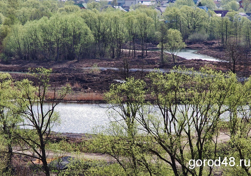 В Липецкой облаcти напишут гимн окружающей среде В Липецкой облаcти напишут гимн окружающей среде