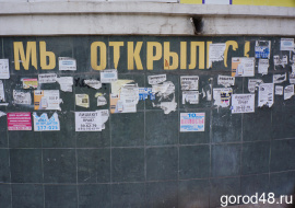 В тени работает почти 34 тысячи липчан